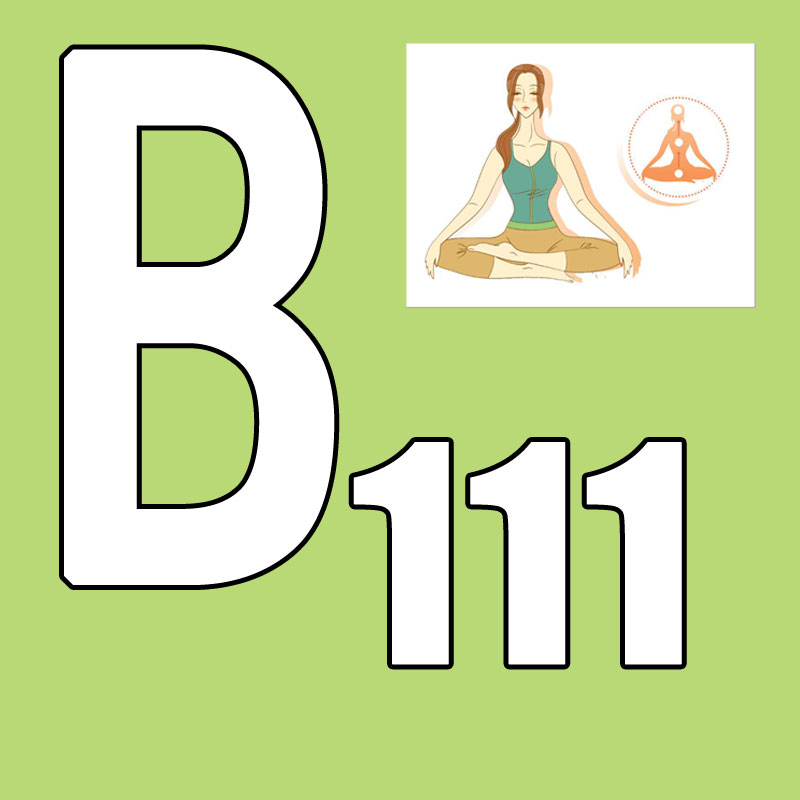 Yoga Fitness Group - 激安セール 最新発売 2026.Q1 新コース BB 111